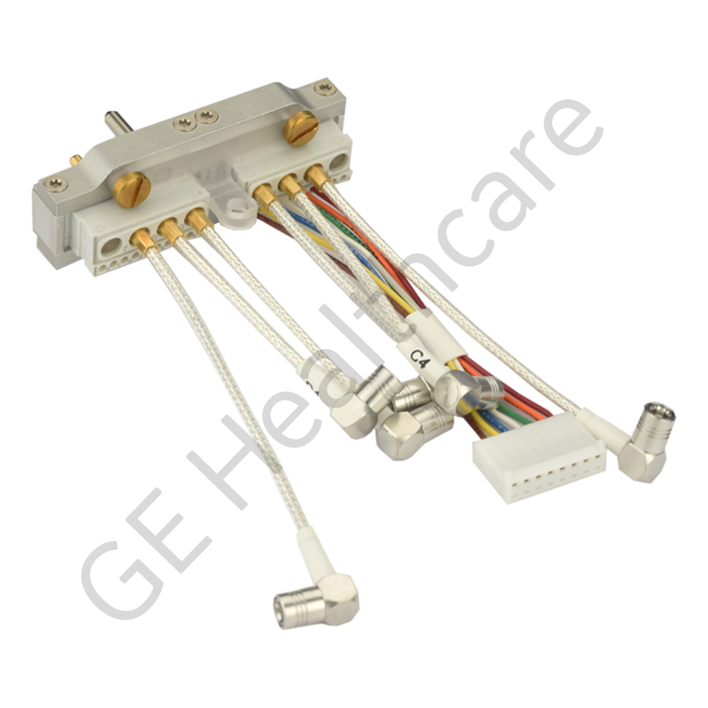 12 Channel Torso Anterior 12 Channel Torso Anterior