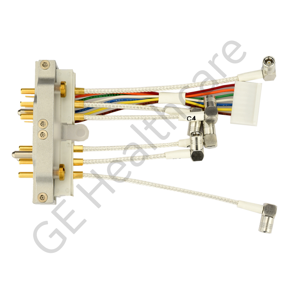 12 Channel Torso Anterior 12 Channel Torso Anterior